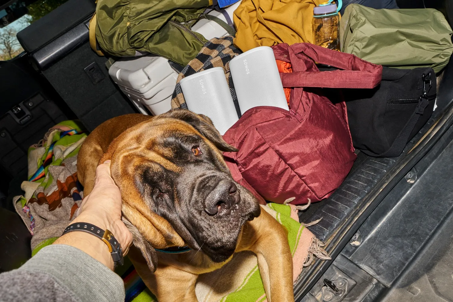 Twee witte Sonos Play-speakers in een volgepakte kofferbak, met een hond ervoor